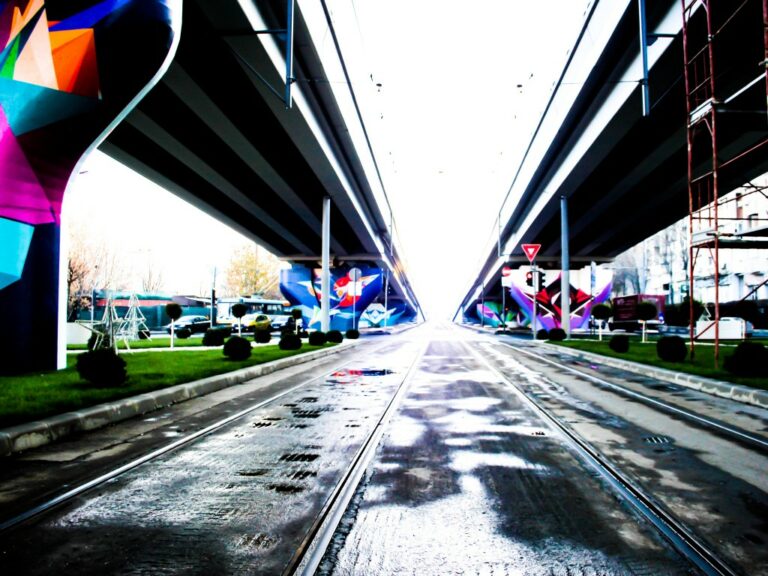 vacaresti outline festival 4